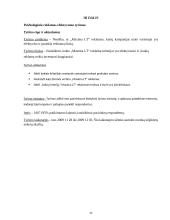 Reklamos efektyvumas: prekybos tinklas AB "Maxima LT" 17 puslapis