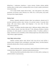 Reklamos efektyvumas: prekybos tinklas AB "Maxima LT" 3 puslapis