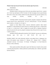 Reklamos efektyvumas: prekybos tinklas AB "Maxima LT" 6 puslapis