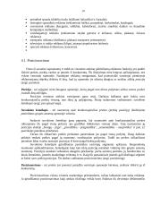 Reklamos organizavimas draudimo įmonės veikloje 13 puslapis