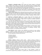 Reklamos organizavimas draudimo įmonės veikloje 5 puslapis