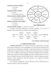 Rėmimo kompleksas: AB "Utenos trikotažas" 6 puslapis