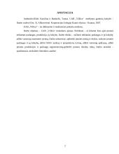 Rinkodaros tyrimas: prekyba mediena UAB "Villica" 2 puslapis