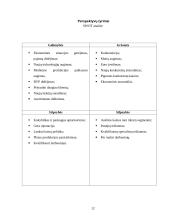 Rinkodaros tyrimas: prekyba mediena UAB "Villica" 12 puslapis