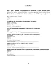 Rinkodaros tyrimas: prekyba mediena UAB "Villica" 16 puslapis