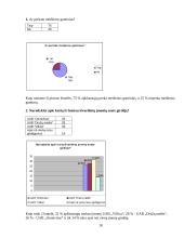 Rinkodaros tyrimas: prekyba mediena UAB "Villica" 18 puslapis