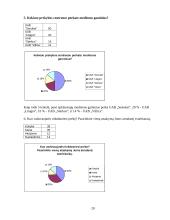 Rinkodaros tyrimas: prekyba mediena UAB "Villica" 20 puslapis