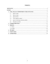 Rinkodaros tyrimas: prekyba mediena UAB "Villica" 3 puslapis