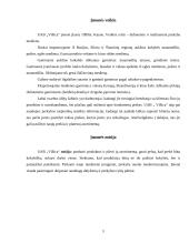 Rinkodaros tyrimas: prekyba mediena UAB "Villica" 5 puslapis