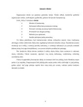 Rinkodaros tyrimas: prekyba mediena UAB "Villica" 6 puslapis