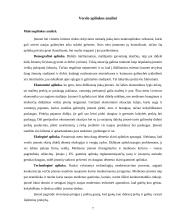 Rinkodaros tyrimas: prekyba mediena UAB "Villica" 7 puslapis