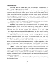 Rinkodaros tyrimas: prekyba mediena UAB "Villica" 9 puslapis