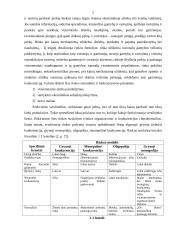 Rinkos paklausos formavimasis 2 puslapis