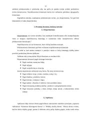 Rinkos tyrimų organizavimas 13 puslapis