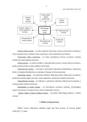 Rinkos tyrimų organizavimas 5 puslapis