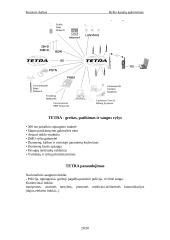 Ryšio kanalų apkrovimas 18 puslapis