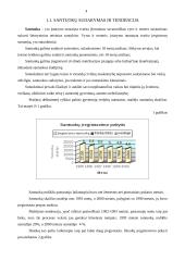 Santuokos ir ištuokos Lietuvoje 1995-2005 metais 4 puslapis