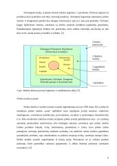 Sąveikaujantys prekių ženklai 6 puslapis