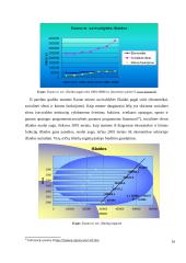 Savivaldybių pajamų ir išlaidų tyrimas 2000-2006 metais 16 puslapis