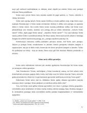 Seimo nario teisinė padėtis 11 puslapis