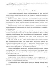 Senų žmonių situacija Lietuvos socialinio ekonominio gyvenimo kontekste 11 puslapis