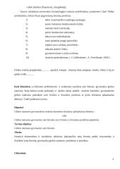 Senų žmonių situacija Lietuvos socialinio ekonominio gyvenimo kontekste 4 puslapis