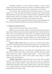 Senų žmonių slaugos poreikiai 2 puslapis