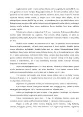 Senų žmonių slaugos poreikiai 17 puslapis