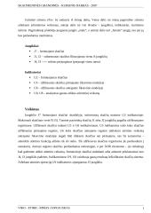 Keturių bitų sumatorius — atėmiklis 12 puslapis