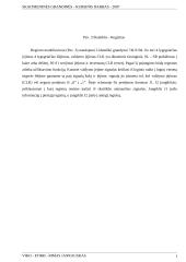 Keturių bitų sumatorius — atėmiklis 6 puslapis