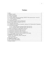 Skaitmeninis – kamieninis tinklas 2 puslapis