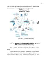 Skaitmeninis – kamieninis tinklas 11 puslapis