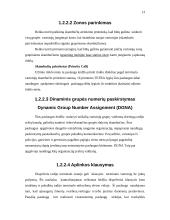 Skaitmeninis – kamieninis tinklas 13 puslapis