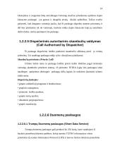 Skaitmeninis – kamieninis tinklas 14 puslapis