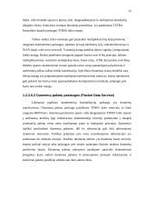 Skaitmeninis – kamieninis tinklas 15 puslapis