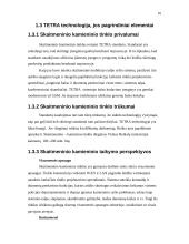 Skaitmeninis – kamieninis tinklas 16 puslapis