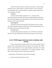 Skaitmeninis – kamieninis tinklas 17 puslapis