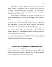 Skaitmeninis – kamieninis tinklas 19 puslapis