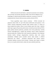Skaitmeninis – kamieninis tinklas 3 puslapis