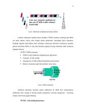 Skaitmeninis – kamieninis tinklas 6 puslapis