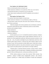 Skaitmeninis – kamieninis tinklas 8 puslapis