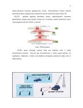 Skaitmeninis – kamieninis tinklas 9 puslapis