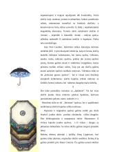 Skėčių įvairovė 11 puslapis