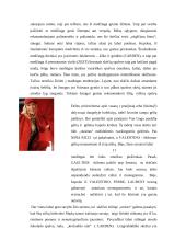 Skėčių įvairovė 13 puslapis