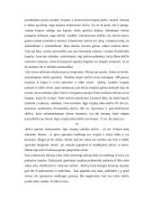 Skėčių įvairovė 15 puslapis