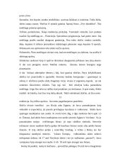 Skėčių įvairovė 17 puslapis