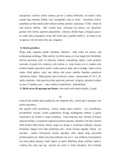 Skėčių įvairovė 18 puslapis