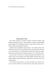 Skėčių įvairovė 4 puslapis