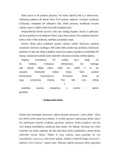 Skėčių įvairovė 7 puslapis