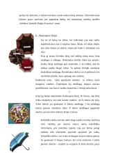 Skėčių įvairovė 9 puslapis